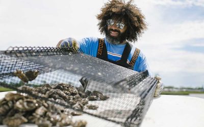 Meet An N.c. Teacher Turned Oyster Farmer